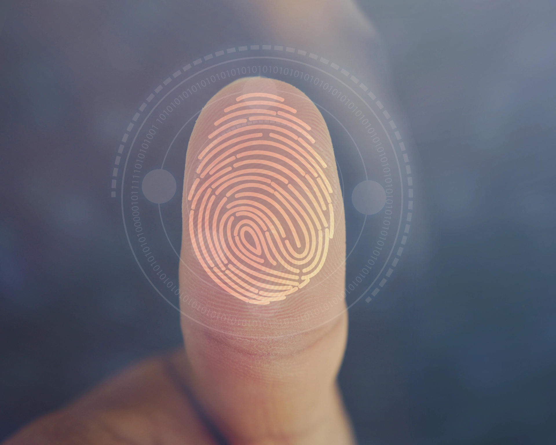 Platform architecture and dashboards